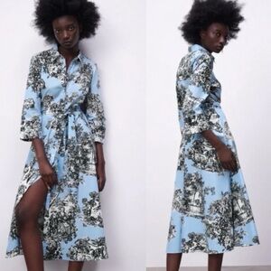 Zara Floral Print Toile Midi Dress